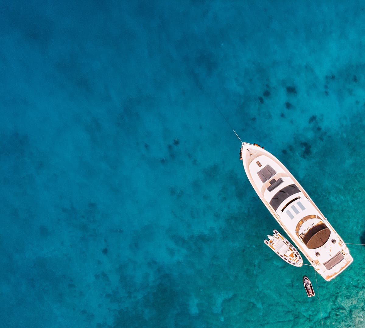 Professional Photo and Video